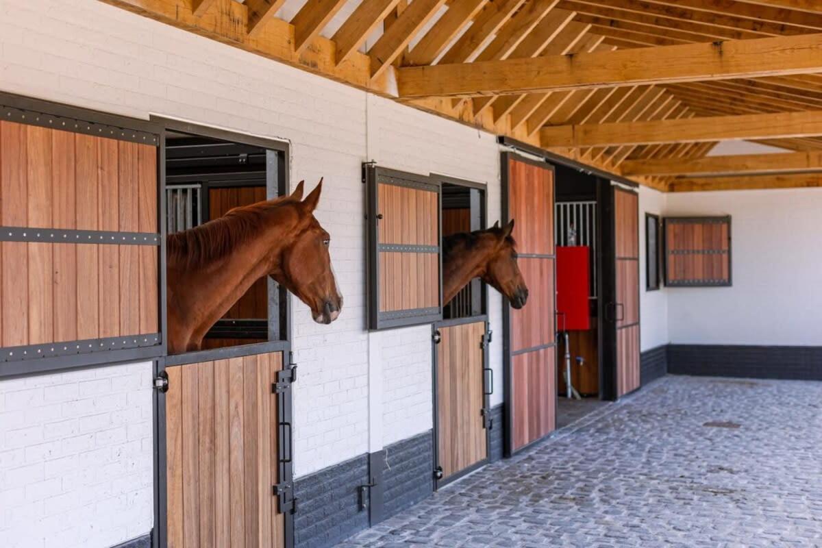 Huswell - Lady - Lovely Double Room At Ranch De Blauwe Zaal Brujas Exterior foto